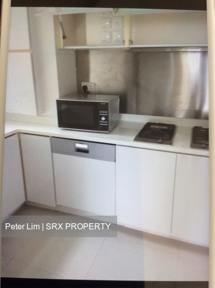Cairnhill Residences (D9), Apartment #184108152
